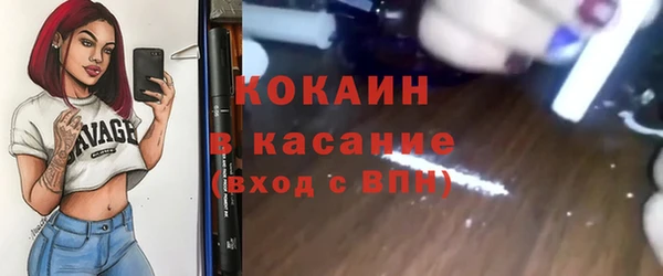 трава Пересвет