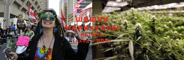 трава Пересвет