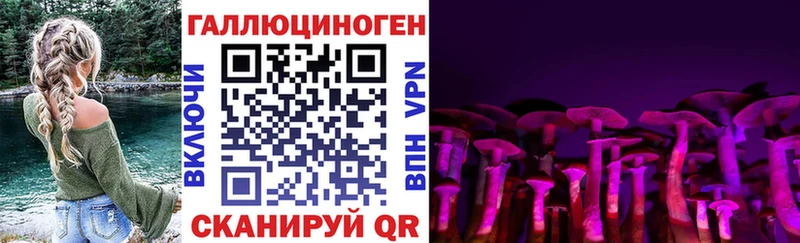 Псилоцибиновые грибы Cubensis  мориарти какой сайт  Кирсанов  кракен зеркало 
