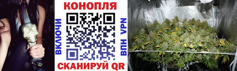 купить наркоту  Кирсанов  Канабис VHQ 